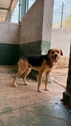 GUS Image 3